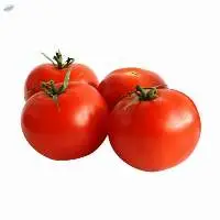 Fresh Tomatoes New Season Delicious