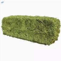 Alfafa Hay Feed/ Best Alfalfa for Sale Alfafa