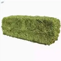Alfafa Hay Feed/ Best Alfalfa for Sale Alfafa