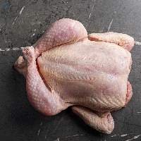 Frozen Whole Chicken  Clean & Hygienic