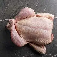 Frozen Whole Chicken  Clean & Hygienic