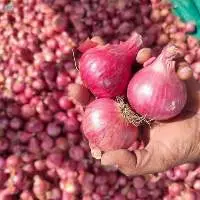 Farm Fresh Yellow Red Onions Bulk