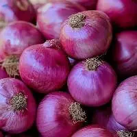 Premium Fresh Yellow Red Onion Pack