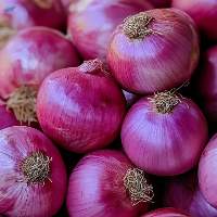 New Fresh Yellow Red Onion with 10kg/20kg