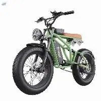 High Performance Electric Bikes with Long Range
