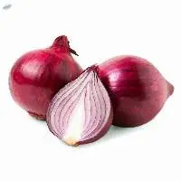 Fresh Onion Premium Quality Natural Vegetables