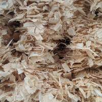 Premium Quality Wood Chips And Wood Shavings