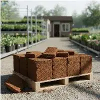 Coconut Peat Blocks