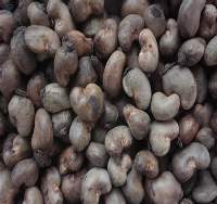 Raw Cashew Nuts