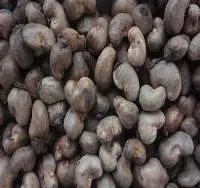 Raw Cashew Nuts