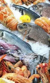 Frozen Fish