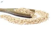 White Sesame Seeds