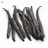 Vanilla Beans
