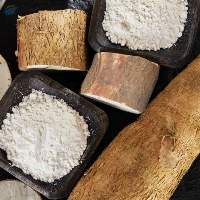 Premium Cassava Flour / Tapioca Starch Powder