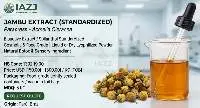 Jambu Extract / Spilanthes Acmella