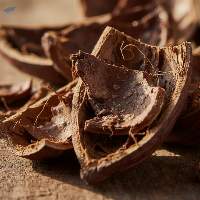 Natural Seed Fibers & Cocoa Shells