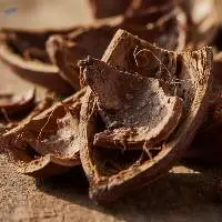 Natural Seed Fibers & Cocoa Shells