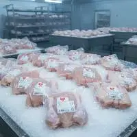 Frozen Chicken Parts & Whole Chicken