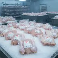 Frozen Chicken Parts & Whole Chicken