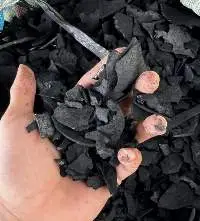 Coconut Shell Charcoal