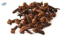 Natural Whole Cloves Spice Bulk Supply