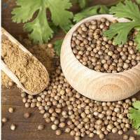 Premium Coriander Seeds Export Grade