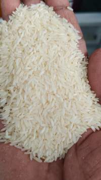 Indian Basmati & Non Basmati Rice Export Grade