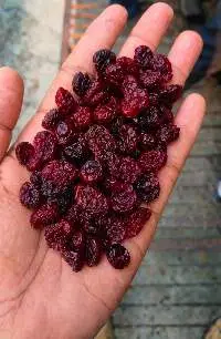 Dried Cranberry