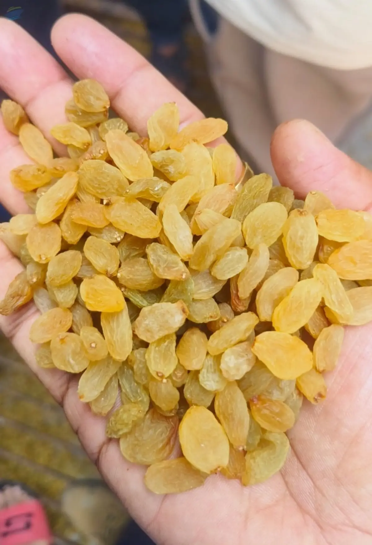 Raisins