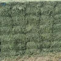 Pure Alfalfa  Hay