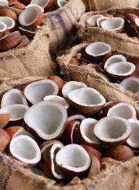 White Copra