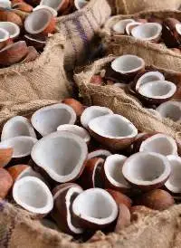 White Copra