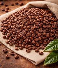 Roasted Robusta Coffee Beans