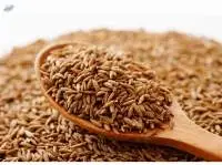 Premium Cumin Seeds Bulk Supply Grade