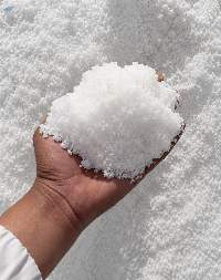 Table Salt