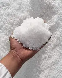 Table Salt