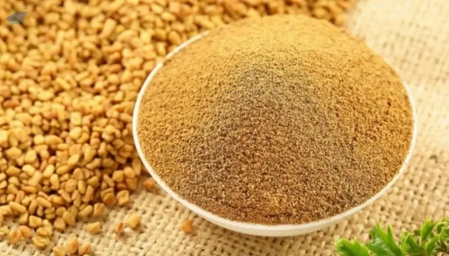 Fenugreek
