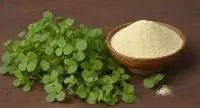 Brahmi