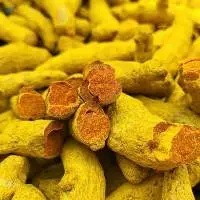 Premium Quality Whole Turmeric Finger