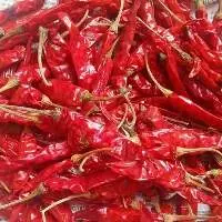 Premium Quality Dried Teja Red Chilli