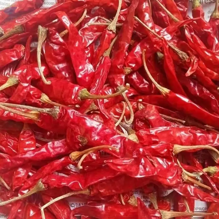 Premium Quality Dried Teja Red Chilli