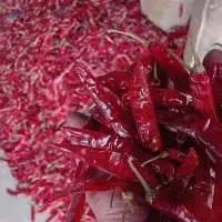 Indian Red chilly S4