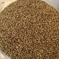 Premium Quality Indian Coriander Seeds 
