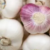 Premium Quality Fresh Indian Garlic 