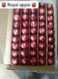 Premium Fresh Apples Export Quality Grade