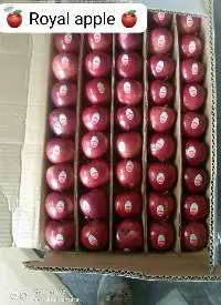 Premium Fresh Apples Export Quality Grade