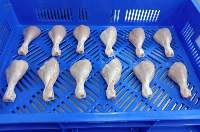 Frozen Chicken (Halal) Premium Quality Pack