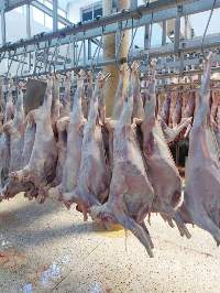 Frozen Chicken (Halal) Premium Quality Pack