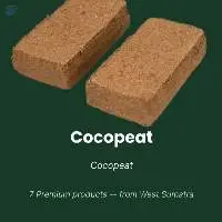 Coconut Peat