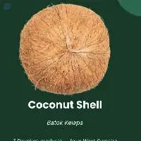 Coconut Shell